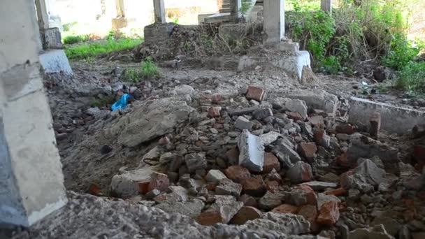 Planta Lanzada Paredes Basura — Vídeos de Stock