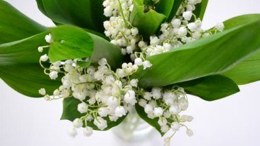 Vazodaki vadi zambakları. Bahar çiçekleri