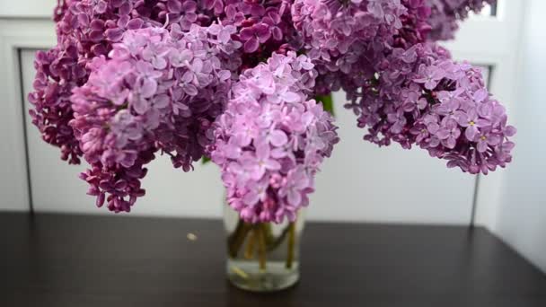 Shooting Sore Hari Spring Lilac Karangan Bunga Dalam Vas — Stok Video