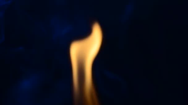 Vuur Een Zwarte Achtergrond Vuur Vlam — Stockvideo
