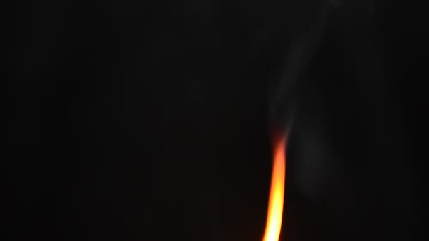 Fuoco Fiamma Fuoco Sfondo Nero — Video Stock