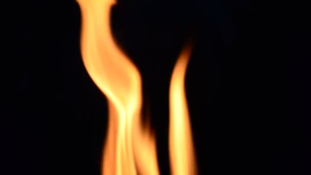 Feu et flamme. Feu sur fond noir 