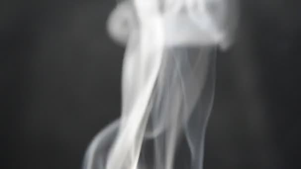 Beautiful Gray Smoke Smoke Figures — Stock Video