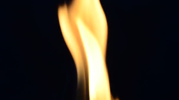 Palte Černém Pozadí Oheň Oheň — Stock video