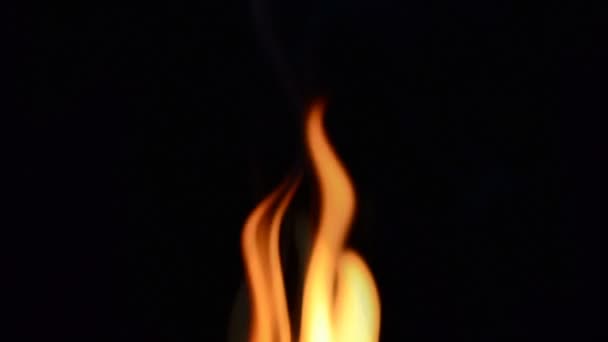 Au ralenti. Feu sur fond noir. Au ralenti. Langues de flamme 