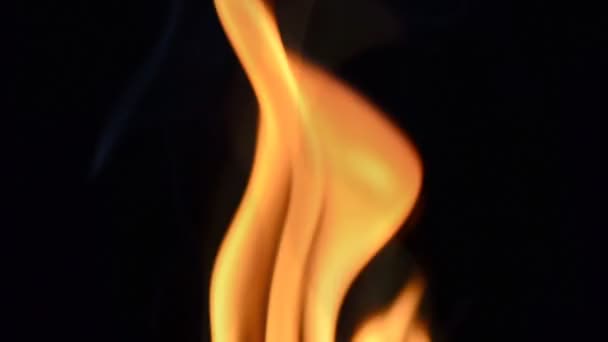 Au ralenti. Feu sur fond noir. Au ralenti. Langues de flamme 