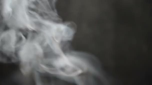 火の煙だ 黒を背景にしたパフ — ストック動画