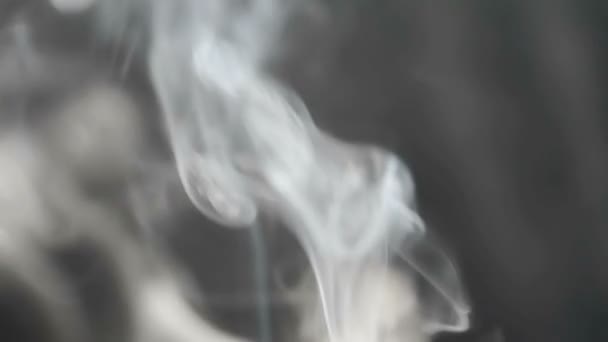 慢动作烟和背景 黑色背景上的灰烟 — 图库视频影像