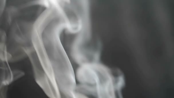 Zeitlupe Rauch Und Hintergrund Grauer Rauch Auf Schwarzem Hintergrund — Stockvideo