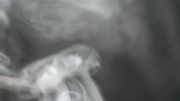 Αργή Κίνηση Γαριδάκια Μαύρο Φόντο Καπνός Από Φωτιά — Αρχείο Βίντεο