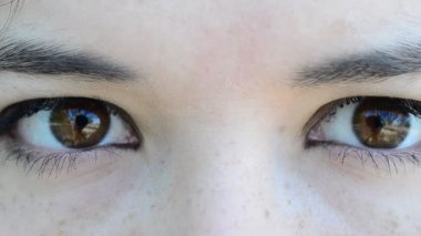 Kızın vurulması. Dişi gözler