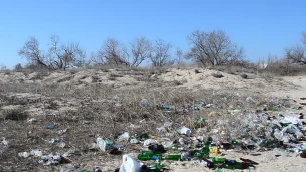 Bir Sürü Çöp Şişe Var Çöp Yığını — Stok video
