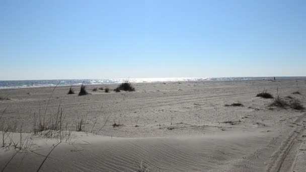 砂と太陽 砂漠の冬のビーチ — ストック動画