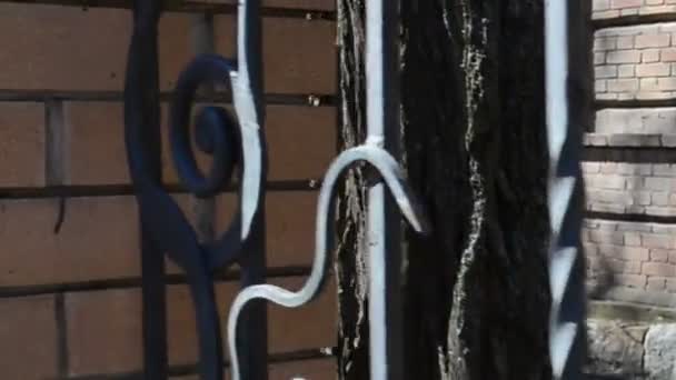 Das Geschmiedete Gitter Der Zaun Schießen Mit Dirigieren — Stockvideo