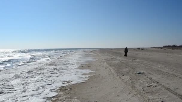 Spiaggia Invernale Ghiaccio Sole — Video Stock