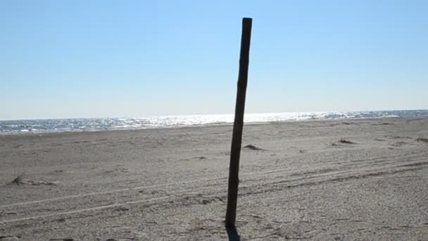 Palo Una Spiaggia Sparatoria Nell Inverno — Video Stock