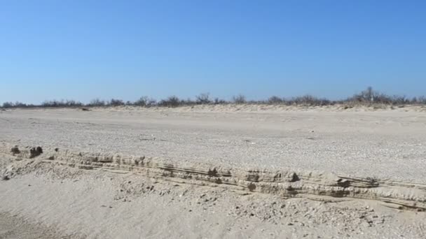 Eis Strand Winter Sand Strand Ein Wüstenstrand — Stockvideo