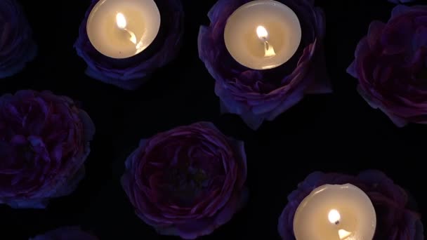 Rosas Velas Sobre Fundo Preto — Vídeo de Stock