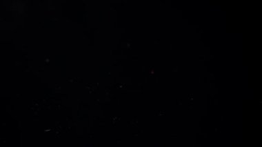 Siyah arka planda suya düşen çilek. Yavaş çekim.