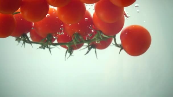 Padající Cherry Rajčata Vodě Zpomalený Pohyb — Stock video