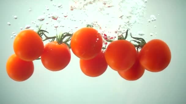 Tomates Cereja Que Caem Água Movimento Lento — Vídeo de Stock