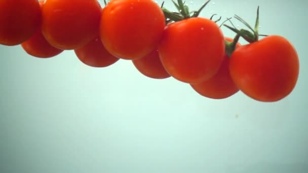 Tomates Cereja Que Caem Água Movimento Lento — Vídeo de Stock