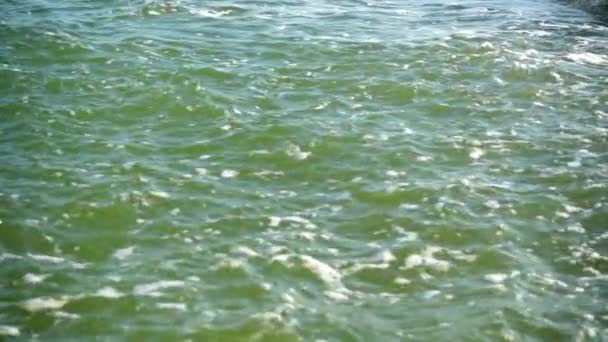 Splashes Sea Wave Slow Motion — Stock Video