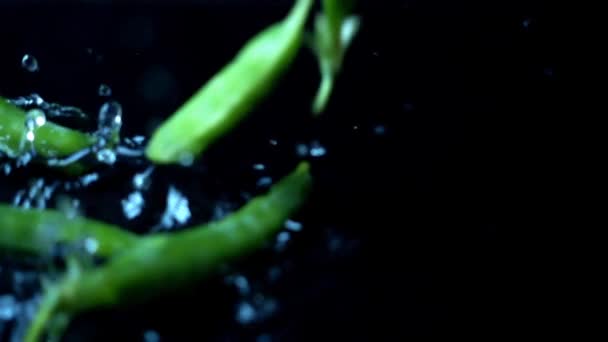 黒い背景に水に緑のエンドウ豆の落下 スローモーション — ストック動画