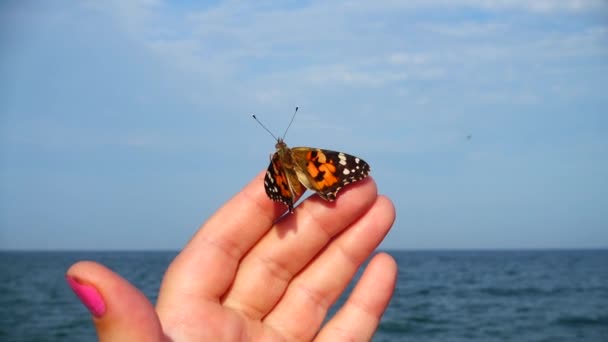Schmetterling Auf Handfingern Vor Dem Hintergrund Des Meeres — Stockvideo