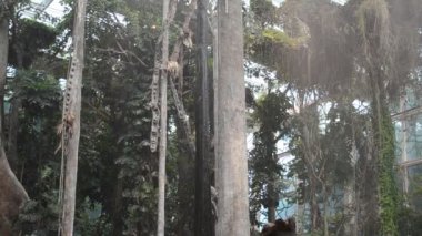 CosmoCaixa Barcelona İspanya 'nın Barcelona şehrinde bulunan bir bilim müzesidir. Daha önce Barselona Bilim Müzesi olarak bilinen müze, 1998 yılında yenileme çalışmaları için kapatılmış ve 2004 yılında şimdiki adıyla yeniden açılmıştır..