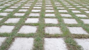 Bahçedeki çimen tuğlası