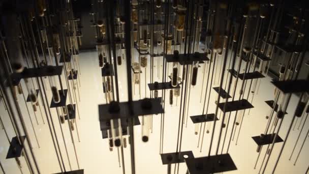 Cosmocaixa Barcelona Museo Scienze Situato Barcellona Spagna Precedentemente Noto Come — Video Stock