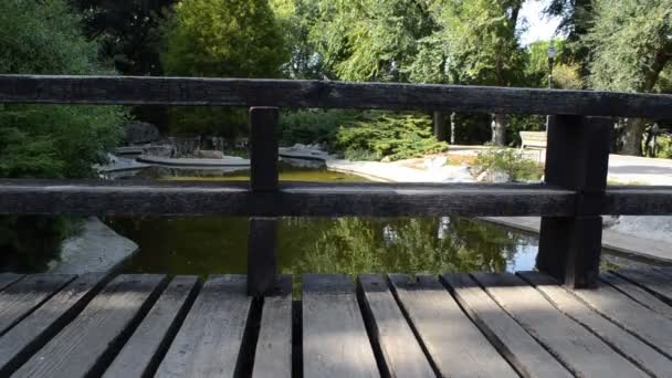 Pont sur le lac