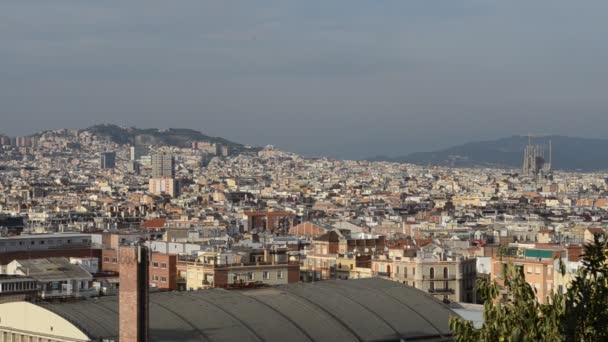 Barselona Şehir Manzarası Montjuic Hill Den Hava Manzarası — Stok video