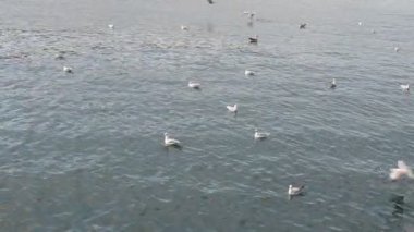 Barselona, İspanya. Port Vell