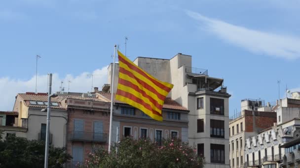 加泰罗尼亚国旗西班牙的枪击案 — 图库视频影像