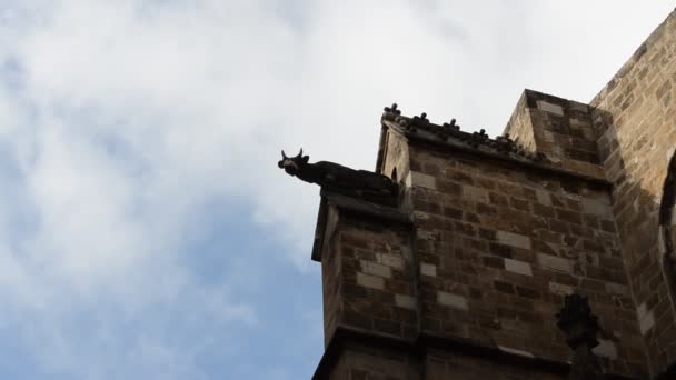 Barcelona Gothic Quarter Shooting Spain — Stock Video