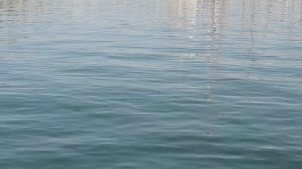 Barcelone, Espagne. Port Vell .