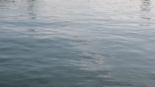 Barcelone, Espagne. Port Vell 