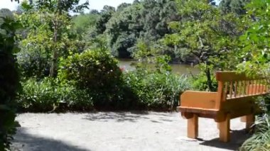 Japon bahçesinde yol, orkestra şefliğinde çekim. Bahçedeki doğa..