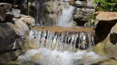 Parkta, bir fabrikanın etrafında. Orlando, ABD. SeaWorld, memelilerin, okyanusların, deniz hayvanlarının ve lunaparkların olduğu bir deniz parkı..