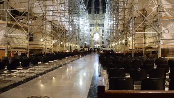 Catedral São Patrício Templo Católico Nova York Monumento Excepcional Estilo — Vídeo de Stock