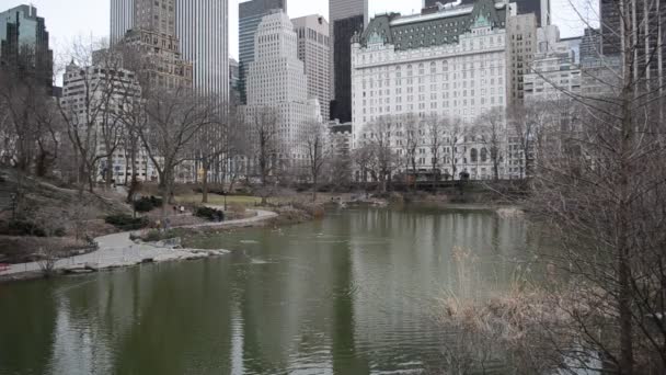 Skyskrapor Den Centrala Parken New York Usa — Stockvideo