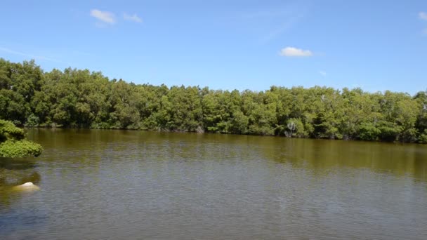 Le lac dans un jardin japonais 