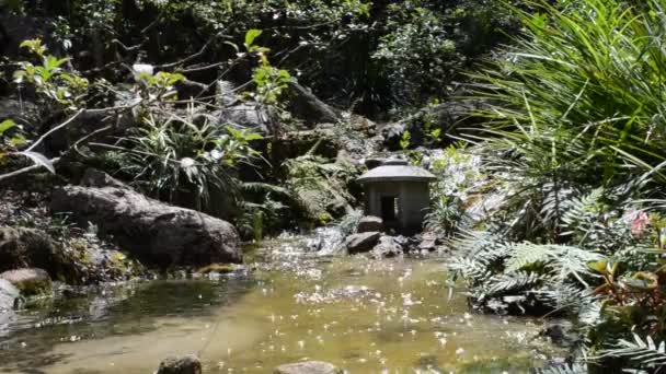 日本花园 在日本花园的溪流 花园中的自然 — 图库视频影像