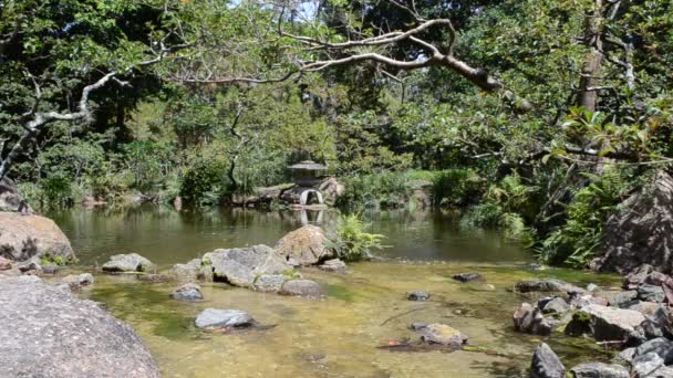 Naturlandskap Strömma Japansk Trädgård Naturen Trädgård — Stockvideo