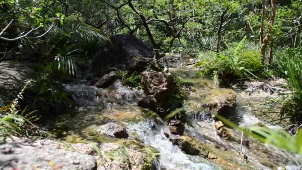 Вода Фон Поток Японском Саду Природа Саду — стоковое видео