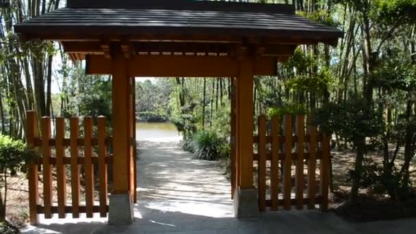 Jardín Japonés Naturaleza Jardín — Vídeo de stock