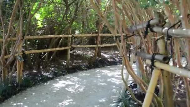 Cerca Jardín Japonés Disparando Con Conducción Naturaleza Jardín — Vídeo de stock