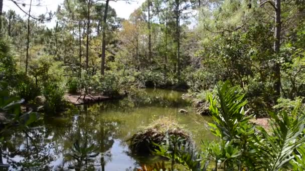 Paysage naturel. La nature dans un jardin .